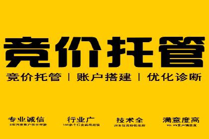 百度SEM案例：实战解析搜索排名提升之道